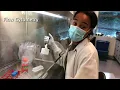 Virtual Lab Tour with Fred Hutch