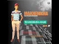 WAWUTHI NGIZOGOWA (feat. BUTTON)