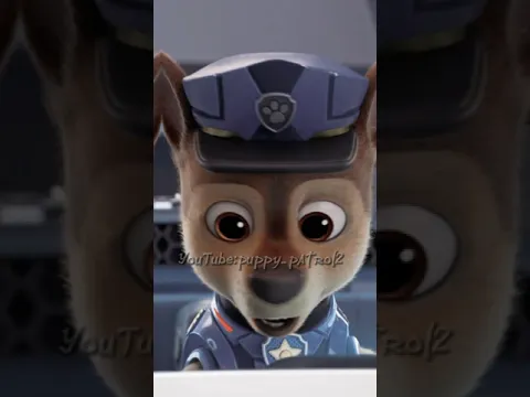 Paw Patrol Chase