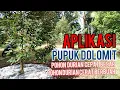 Lagu Aplikasi Pupuk Dolomit agar pohon durian cepat besar