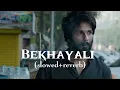 Download Lagu Bekhayali (Slowed + Reverb) | Kabir Singh | Lost in Echoes | darkwavelofi