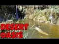 Download Lagu Ruins, Oasis, Beer, Hot Springs: Hiking the Amargosa River Trail From China Ranch to Tecopa