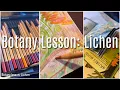 Botany Lesson Types of Lichen