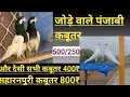 Download Lagu [12/07/25] Dasna Markit 250 Per Punjabi Kabtr Jode Wale 500₹