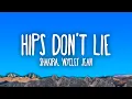 Download Lagu Shakira - Hips Don't Lie ft. Wyclef Jean