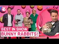 Best In Show Bunny Rabbits! | Studio 10