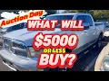 What Can I Buy At The Public Auto Auction For Under 5K