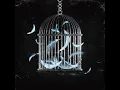 Cage bird (feat. AR$G)