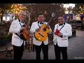 Download Lagu Amor de mis amores - (Trio Cristal)