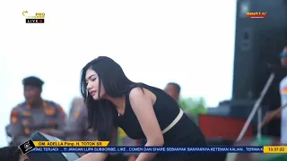 Download BAGAI RANTING KERING - LUSYANA JELITA - OM ADELLA LIVE PALANG TUBAN 2022 MP3