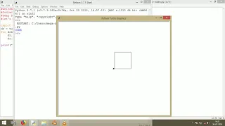 turtle make a square using loop in python turtle