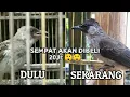 Download Lagu Review, Update hasil selingkuh kutilang x trucukan, Kog BEGINI 😅😅😅