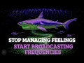 The SECOND You See Emotions as Frequencies Not Feelings Reality Tunes Itself