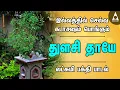 Download Lagu துளசி தாயே | இல்லத்தில் செல்வங்கள் தரும் அம்மன் பக்தி பாடல்கள் | Tulasi Devi Devotional Songs