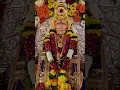 Download Lagu Shree Swami Samarth Jai Jai Swami Samarth Maharaj Akkalkot Live Darshan