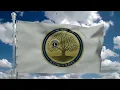 Lions International theme for the 2026 2027 Lionistic Year is Rooted in Service