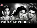 Download Lagu धर्मेंद्र की जबरदस्त रोमांटिक फिल्म पूजा के फूल | Dharmendra Romantic Movie Pooja Ke Phool | Mala