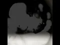 Apophenia VII