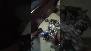 كماله الفيديو ديال قراءه اللدون 