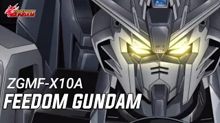 freedom gundam sebuah mobile suit yang dibuat untuk kebebasan ras coordinator