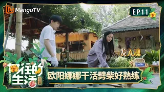 FULL《向往的生活第四季》第11期：许光汉彭昱畅合唱《Last Dance》，欧阳娜娜为张子枫化妆｜Back To Field S4｜Mango TV