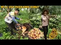 Download Lagu PAGHARVEST NG SAGING NA LATUNDAN SA AREA #5 AT PAGKUHA NG UOK SA PUNO NG NIYOG