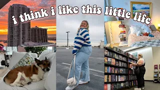 a simple day in my little life book shopping watching the sunset apartment updates a sick pup