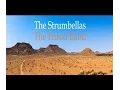Download Lagu The Strumbellas - The Hired Band (LYRICS)