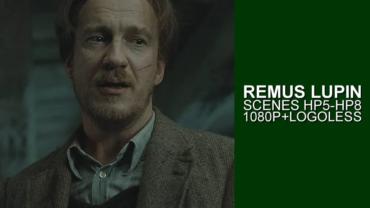 Remus Lupin Scenes | Logoless 1080p