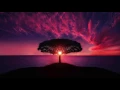 1 Hour of Relaxing Sleep Music: Piano, Flute, Guitar & Deep Atmosphere ★16