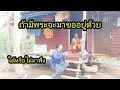Download Lagu ถ้ามีพระจะมาขออยู่ด้วยจะได้หรือไม่มาฟังกัน..? #จิตอาสา