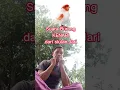 Suara Burung Kenari Gacor dari Siulan Jari Tangan @SumarmanKlik