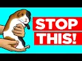 18 Things Guinea Pigs Hate