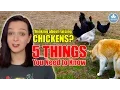 5 Things to Know Before You Buy Chickens