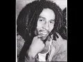 Bob Marley & The Wailers - 1977-05-20 Gronalund - Stockholm, Sweden  Full Concert