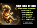 Lagu MUROTTAL IBU HAMIL AGAR JANIN SEHAT - BACAAN MERDU PENYEJUK HATI \u0026 PIKIRAN.By Alaa Aqell