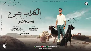 اغنيه الكلاب بتنوح الصبح شقا وبليل شبرقا غناء نافع مصر توزيع شيكا برودكشن 2025 