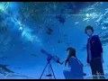 C&K【みかんハート】歌詞付き
