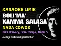 Download Lagu Boli'ma Kamma Salasa Karaoke Nada Cowok