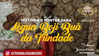 História de Seu Légua Boji