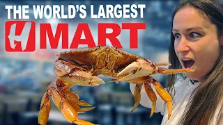 Everything You NEED to Know About The WORLD S LARGEST HMART