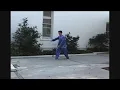 XING YI SUN and MOON BLADES (with Application)