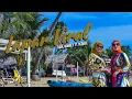 Download Lagu Lapar Viral - Adik Waniey Ft Deqnee ( Official Music Video )