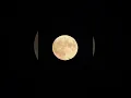 Download Lagu Blue moon from my camera #moon #viral #astronomy #space #fullmoon #bluemoon #shorts #telescope