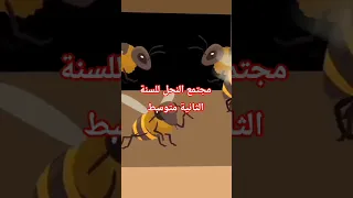 مجتمع النحل للسنة الثانية متوسط 