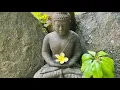 Buddha's Flute | Serenity of Flute