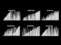 Sorting 1000 Number Using 6 Sorting Algorithms in 3 minutes - Visualization with Python