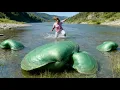 Pearl Hunter explores the clams of the legendary Night Pearl