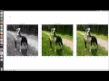 Visual Media Colorization Using Deep Learning Demo Tensorflow