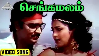  video song dhavani kanavugal movie song bhagyaraj radhika ilaiyaraaja